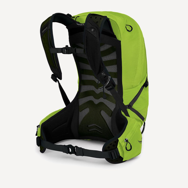 Рюкзак Talon 22 (limon green; 22 л)
